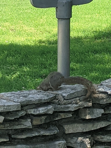 Museum «Texas Ranger Hall of Fame & Museum», reviews and photos, 100 Texas Ranger Trail, Waco, TX 76706, USA