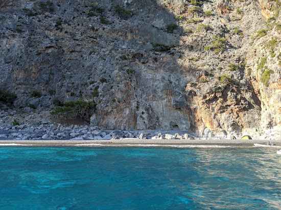 Monk beach