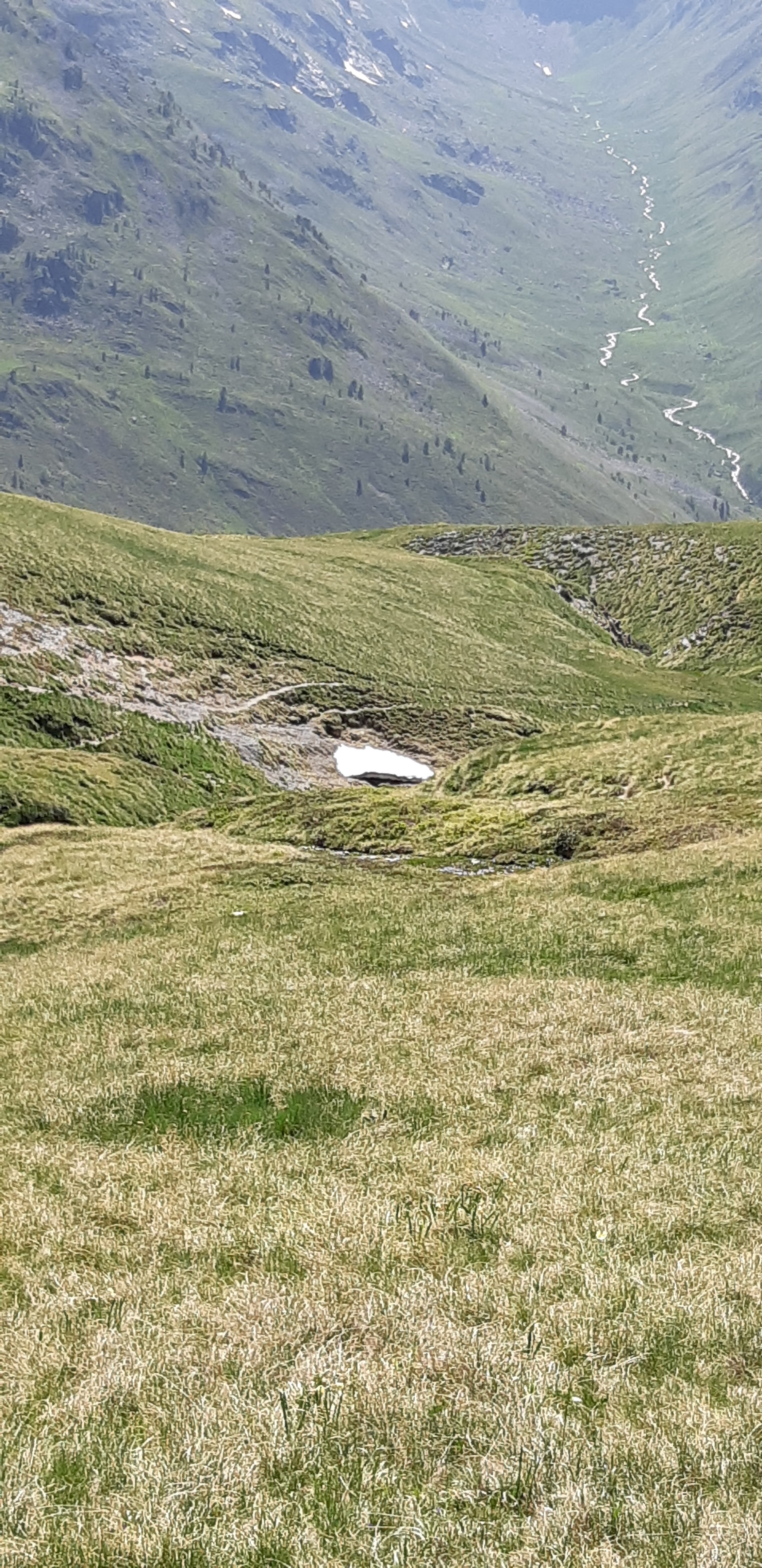 Photo n° 25 de l'avis de Yannick.a fait le 10/07/2019 à 09:58