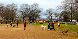 Dog Park at Dix Park
