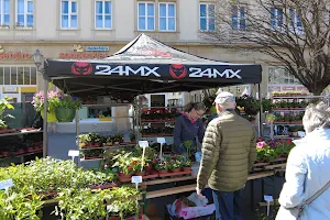 Marktplatz / Veranstaltungen image