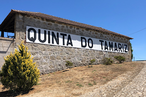 Quinta Tamariz image