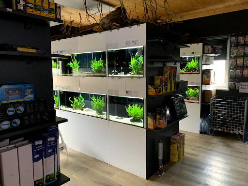 Fishtopia unter Ilsfeld, 