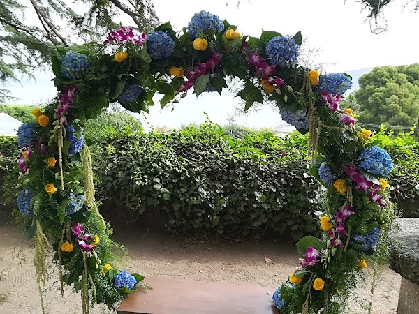 Floristería Bambú