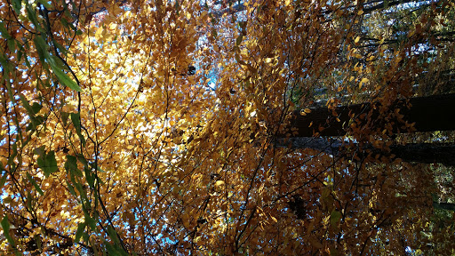 Recreation Center «Briarwood Recreation Center», reviews and photos, 2235 Briarwood Way NE, Atlanta, GA 30319, USA