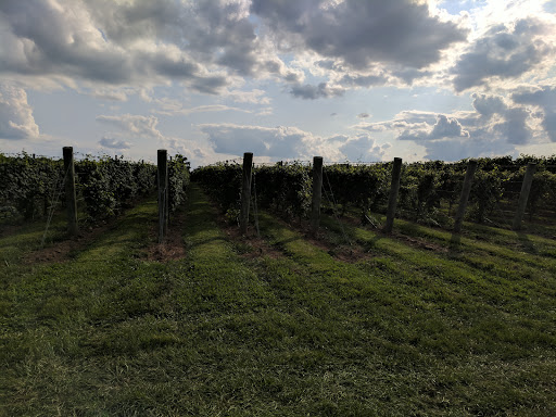 Winery «Va La Vineyards», reviews and photos, 8820 Gap Newport Pike, Avondale, PA 19311, USA