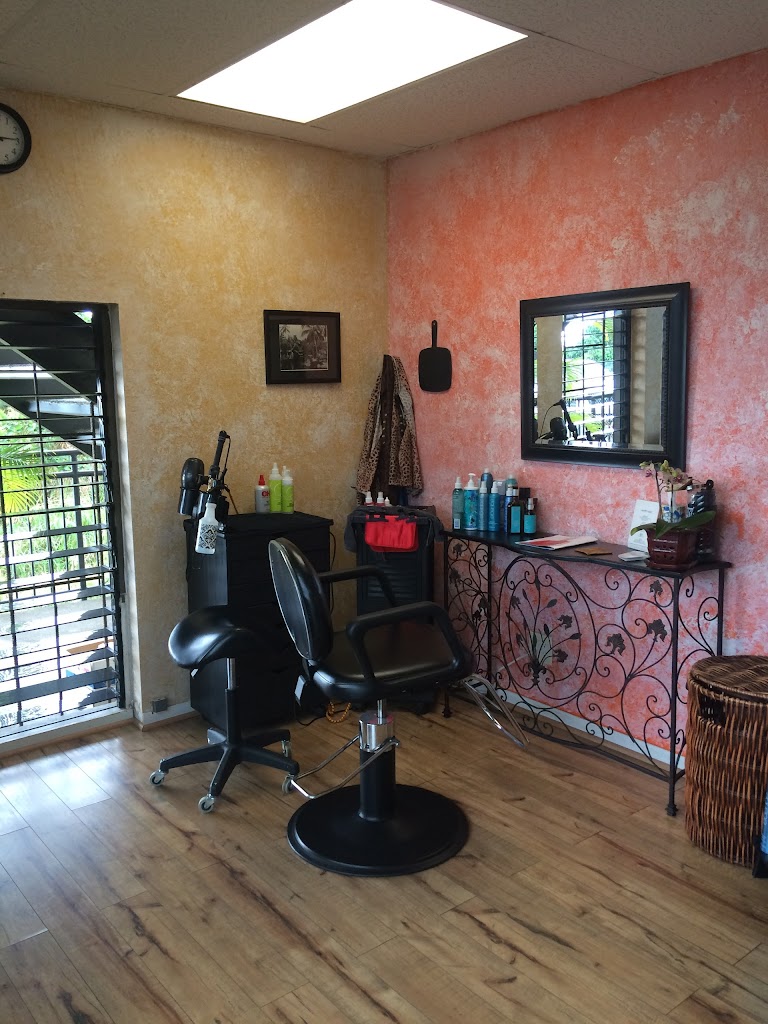 Happy Hair 96750