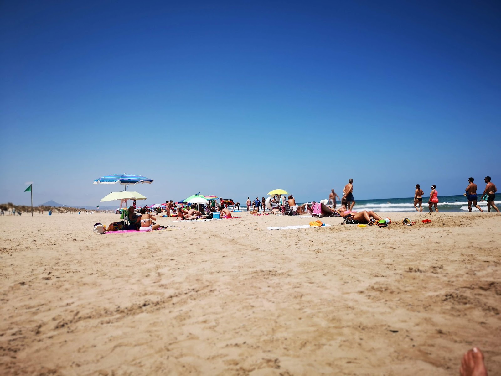 Foto de Platja la devesa y el asentamiento