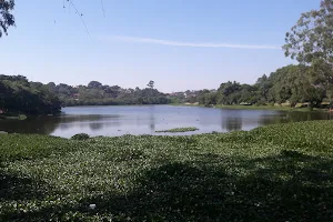 Lago Tarumã image