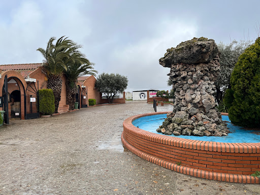 Centro Ecuestre Real Hípica de Griñón en Griñón