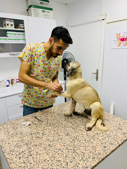 Animalove Başakşehir Veteriner Kliniği