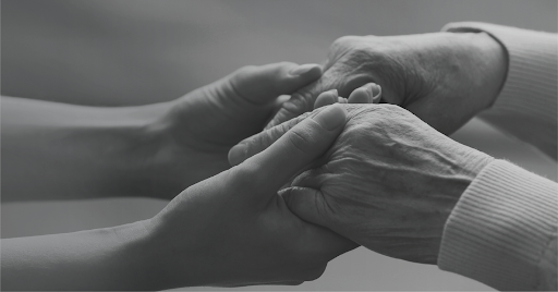 University «University of Western States», reviews and photos