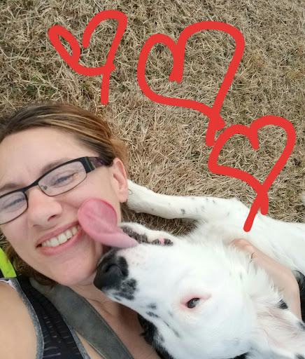 Pet Supply Store «PetSmart», reviews and photos, 7290 W Bell Rd, Glendale, AZ 85308, USA