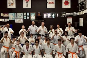 Furlan Academia Kyokushin. image