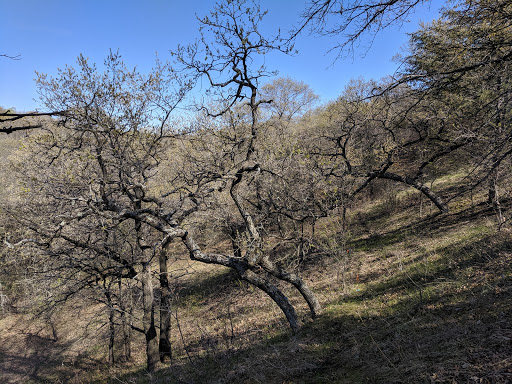 Nature Preserve «St. Croix Savanna Scientific and Natural Area (SNA)», reviews and photos, Osprey Blvd, Bayport, MN 55003, USA