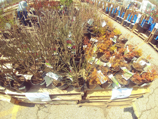 Department Store «Rural King», reviews and photos, 1650 S Main St, Madisonville, KY 42431, USA