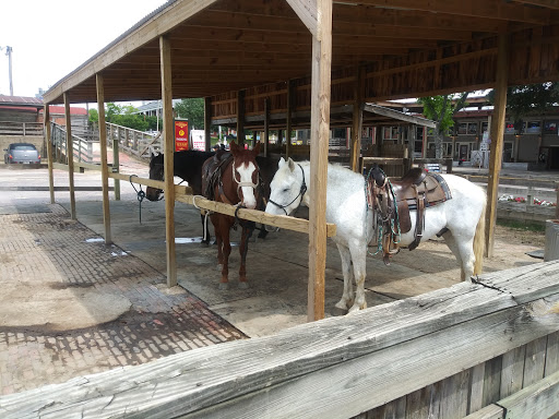 Tourist Attraction «Stockyards Championship Rodeo», reviews and photos, 121 E Exchange Ave, Fort Worth, TX 76164, USA