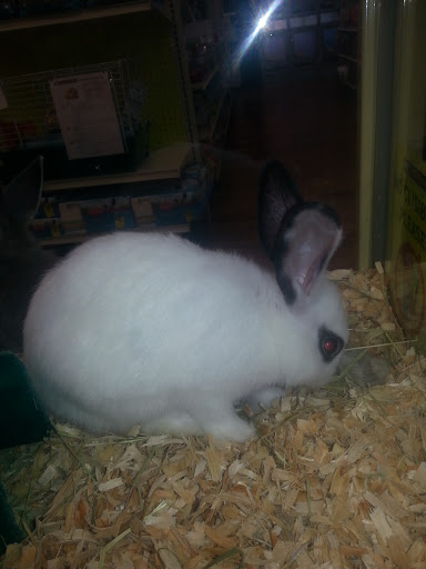 Pet Supply Store «Pet Supermarket», reviews and photos, 3821 S Cobb Dr, Smyrna, GA 30080, USA