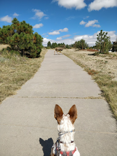 Park «Rudy Park», reviews and photos, 5360 Cracker Barrel Cir, Colorado Springs, CO 80917, USA