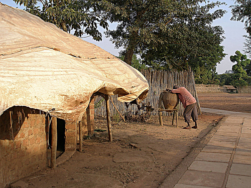 African Herbalist Healer