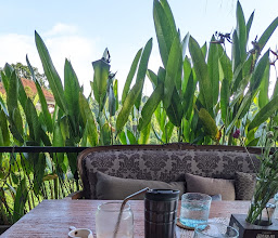 Zest Ubud photo