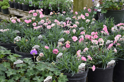 Florist «Anderson Florist and Greenhouse», reviews and photos, 1812 N Detroit St, Warsaw, IN 46580, USA