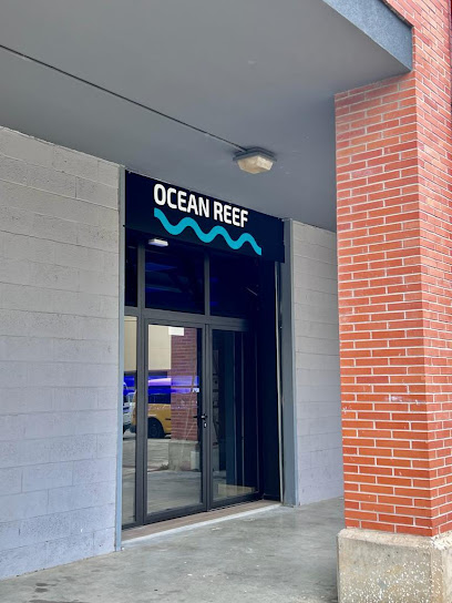 Ocean Reef - Servicios para mascota en Hernani