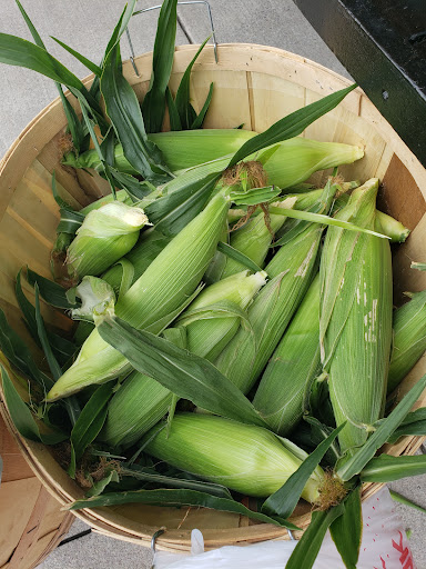 Produce Market «Rush Vegetables», reviews and photos, 2120 Eagle Harbor Waterport Rd, Albion, NY 14411, USA