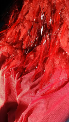 Shoe Store «DSW Designer Shoe Warehouse», reviews and photos, 8110 Mall Pkwy, Lithonia, GA 30038, USA