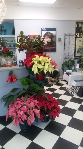 Beauty Salon «Art of Hair By Clara & Co», reviews and photos, 9643 Granby St # A, Norfolk, VA 23503, USA