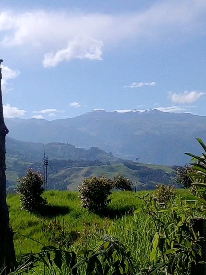 Escuela Vereda La Guayana