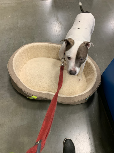 Pet Supply Store «PetSmart», reviews and photos, 13000 Aurora Ave N, Seattle, WA 98133, USA