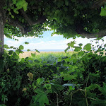 Photo n°1 de l'avis de Anne.P fait le 09/07/2022 à 15:48 sur le  Café Asgard à Heringsdorf