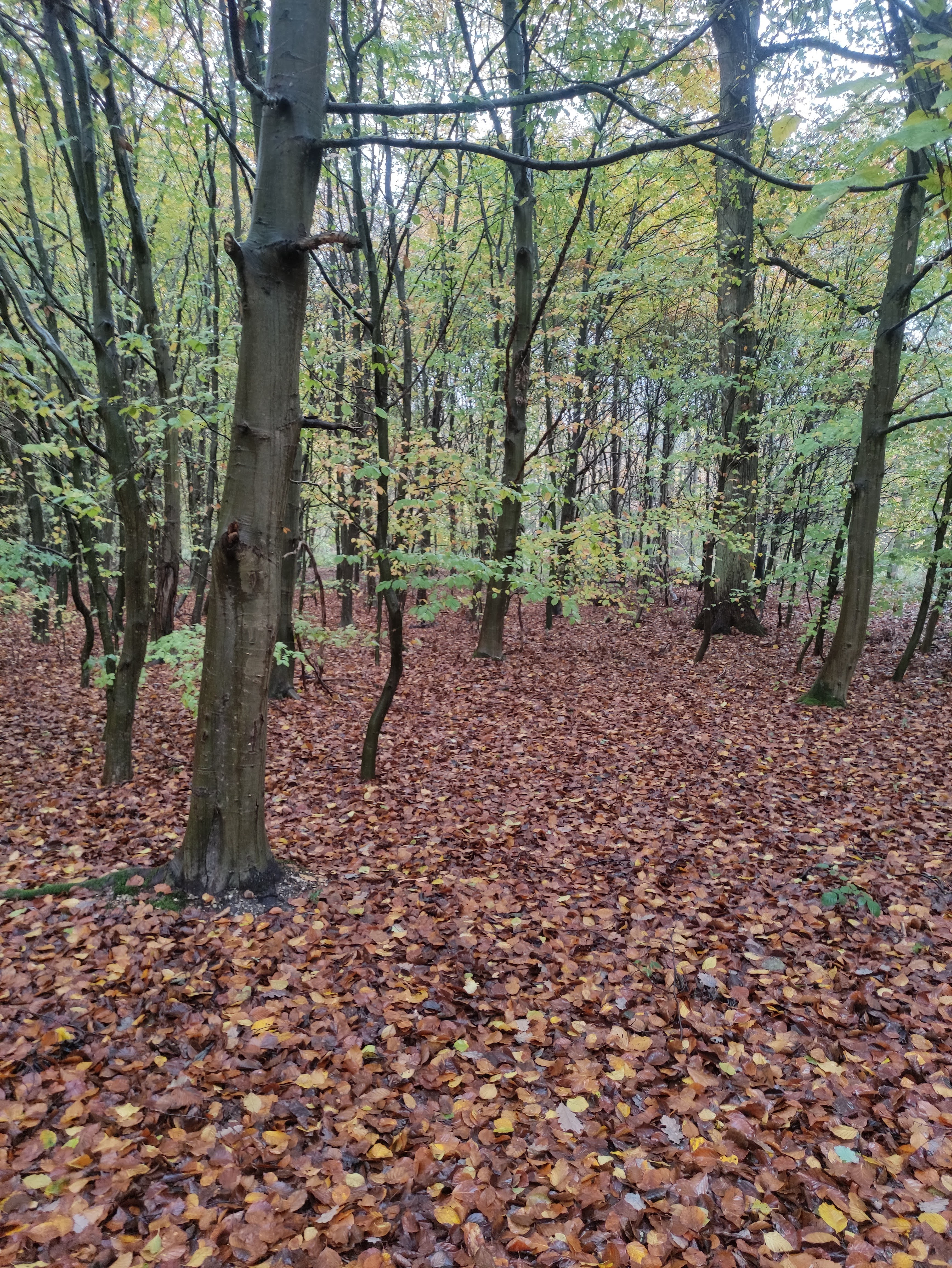 Photo n° 2 de l'avis de Muriel.o fait le 25/11/2022 à 23:20