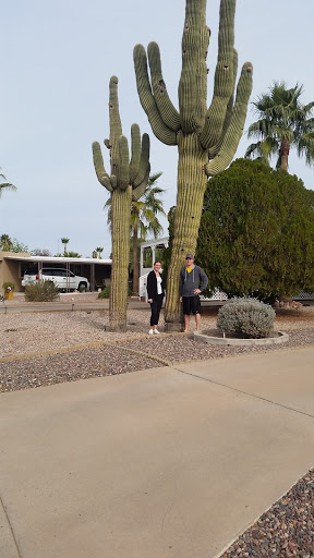 Golf Course «Desert Sands Golf Course», reviews and photos, 1922 S 74th St, Mesa, AZ 85209, USA