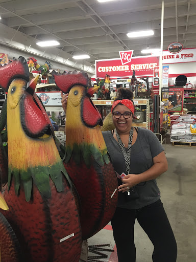 Home Improvement Store «Tractor Supply Co.», reviews and photos, 1407 Interstate 45 N, Conroe, TX 77304, USA