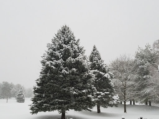 Country Club «Tewksbury Country Club», reviews and photos, 1880 Main St, Tewksbury, MA 01876, USA