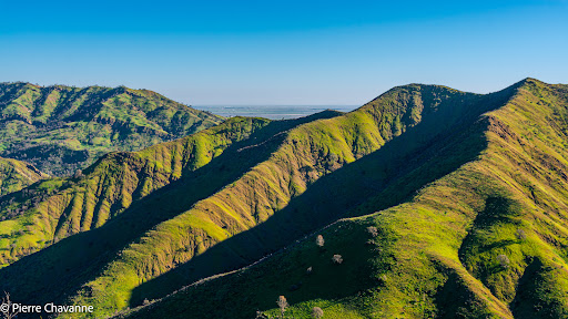Nature Preserve «UC Davis - Stebbins Cold Canyon Natural Reserve», reviews and photos, CA-128, Winters, CA 95694, USA