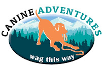 Canine Adventures - Photo 3 - Car repair in , Colorado Springs