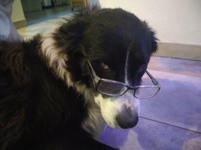 Photo n° 3 de l'avis de laetitia.e fait le 31/01/2023 à 14:58