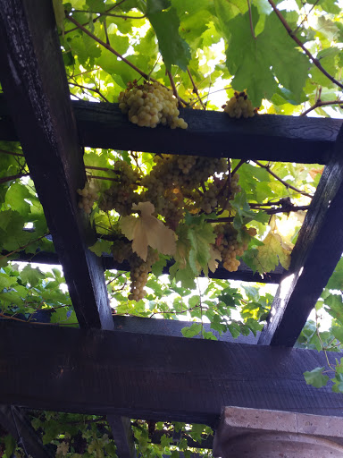 Winery «Tsillan Cellars», reviews and photos, 3875 Hwy 97A, Chelan, WA 98816, USA