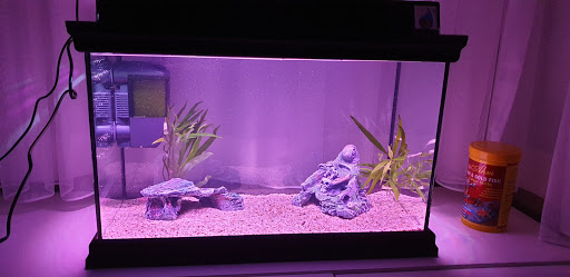 Naturel Pet Shop | Maltepe İstanbul - Evcil hayvan mağazası