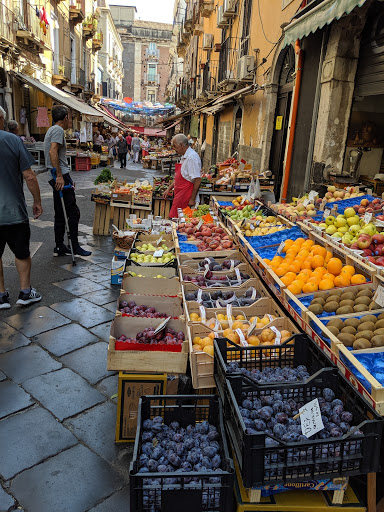 Insurance Agency «AAA Port Charlotte», reviews and photos