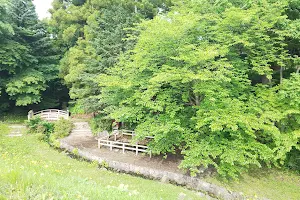 Bijingawa Park image