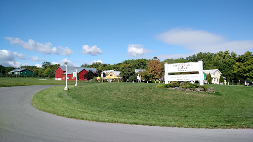 Winery «Sheldrake Point Winery», reviews and photos, 7448 County Rd 153, Ovid, NY 14521, USA