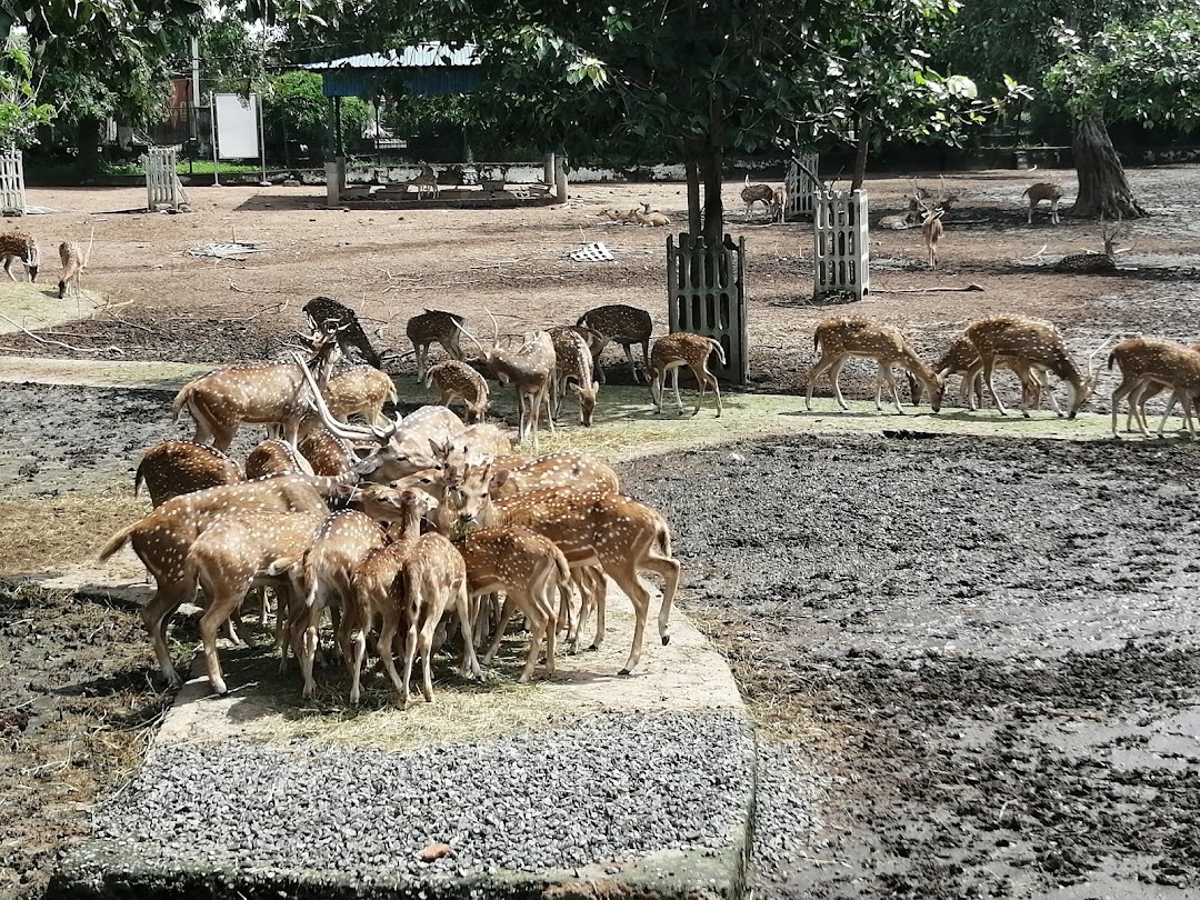 Deer Park