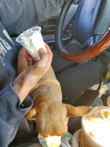 Coffee Shop «Starbucks», reviews and photos, 90 3300 S, South Salt Lake, UT 84115, USA