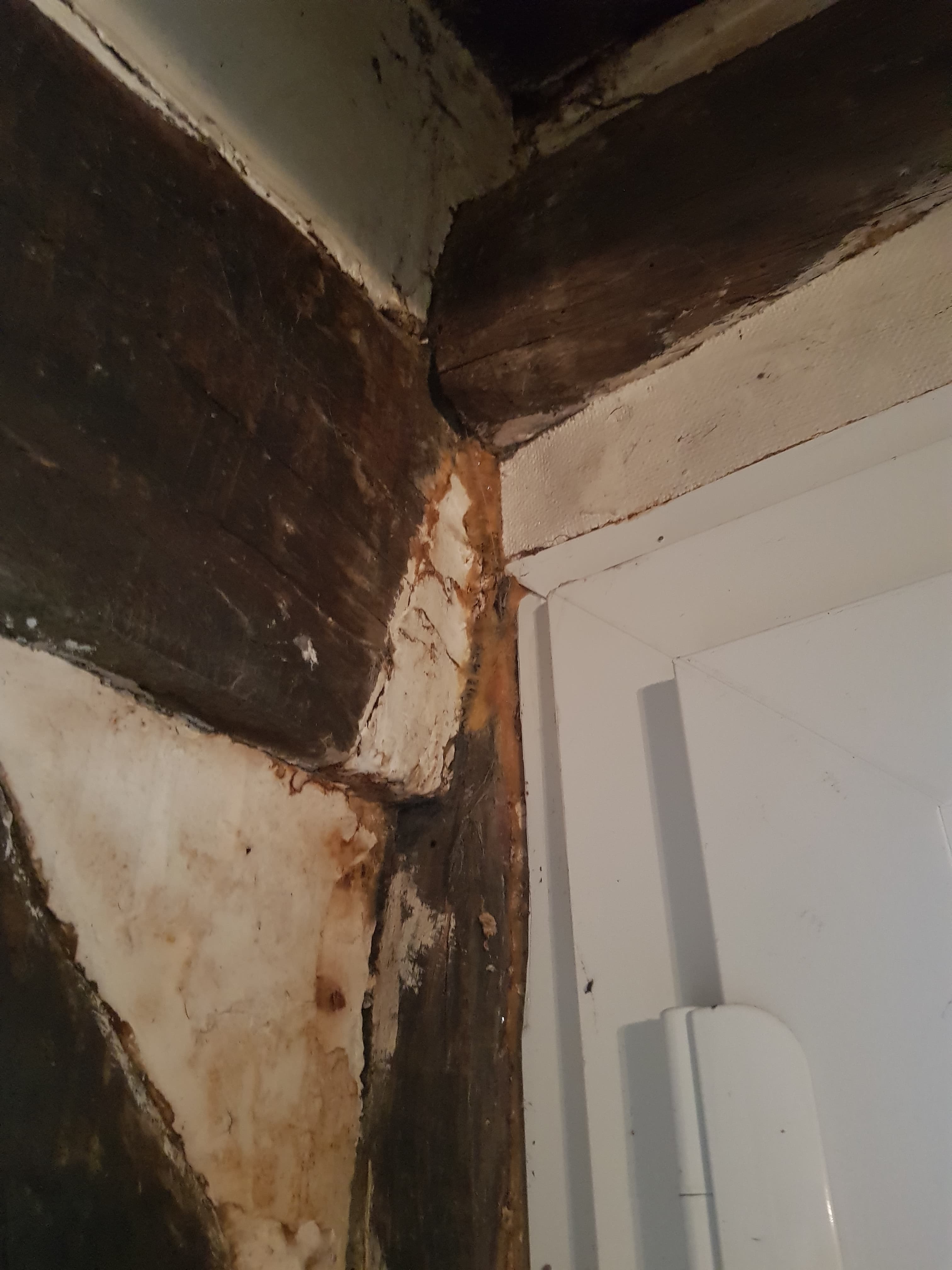 Photo n° 4 de l'avis de Jérémy.e fait le 20/05/2019 à 20:46