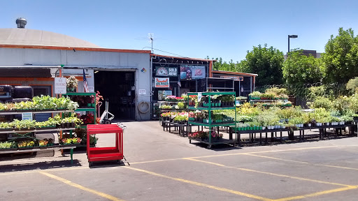 Seed supplier Irvine