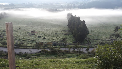 Hacienda El Alcazar